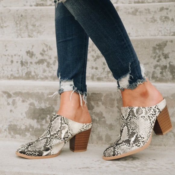 😍restock Snake skin mule - Picture 5 of 8